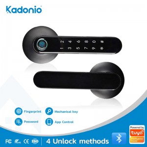 406-Smart Door Handle Kunci Elektronik / Sandi Sidik Jari Biometrik