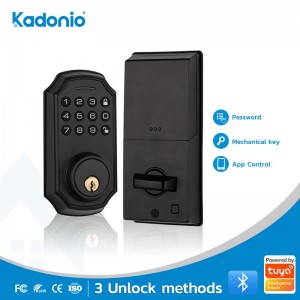 Kunci pintu pintar 703-Tuya/Kontrol Aplikasi BT