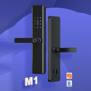 HD-8639 Bluetooth/WIFI viedā durvju slēdzene