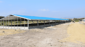 Poultry Farm - Steel Structure Broiler House
