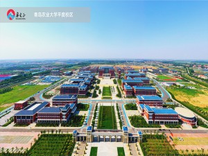 האוניברסיטה החקלאית של צ'ינגדאו