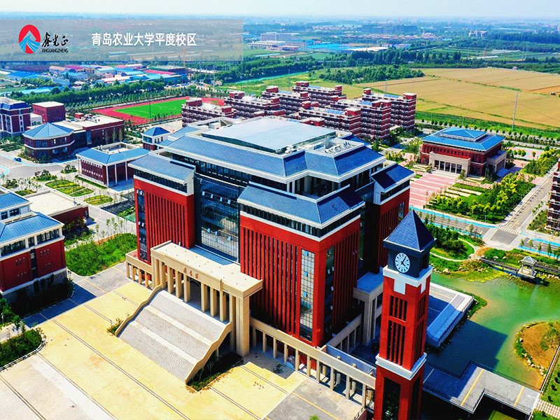 جامعة تشينغداو الزراعية