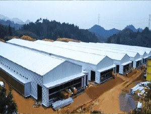 Bâtiment de hangar à bétail à structure métallique