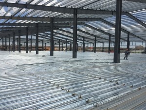 ODM Supplier Low Price Chicken Farm Metal Building Construction