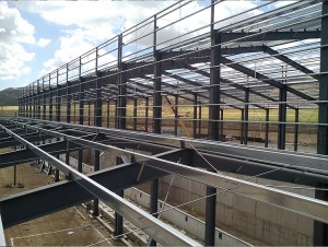 ODM Supplier Low Price Chicken Farm Metal Building Construction