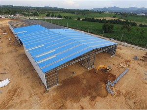 Chinese Professional Heavy Duty Storage Building Steel Structure Warehouse Workshop