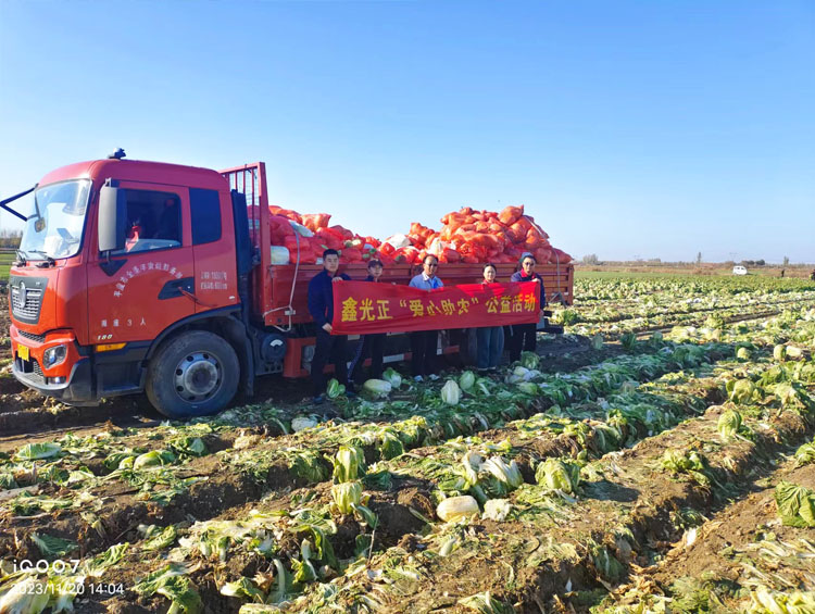 Company Activity—Help Farmers on Chinese Cabbage