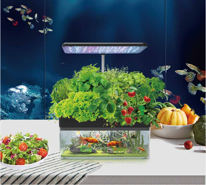 Slovakia: Farmers Switch From Aquaponics To Hydroponics After Investment