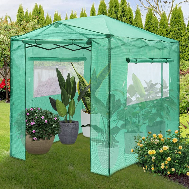 8′ x 6′ Portable Walk-in Pop Up Greenhouse, with 2 Windows, Roll Up Door and Instant Set Up Frame