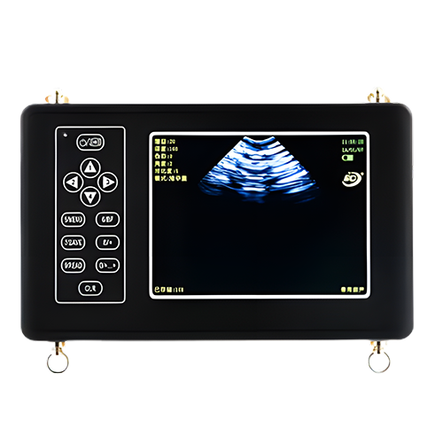 Vscan™ Handheld Ultrasound Systems | GE HealthCare (United States)