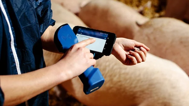 Kako koristiti ultrazvučni aparat za svinje?