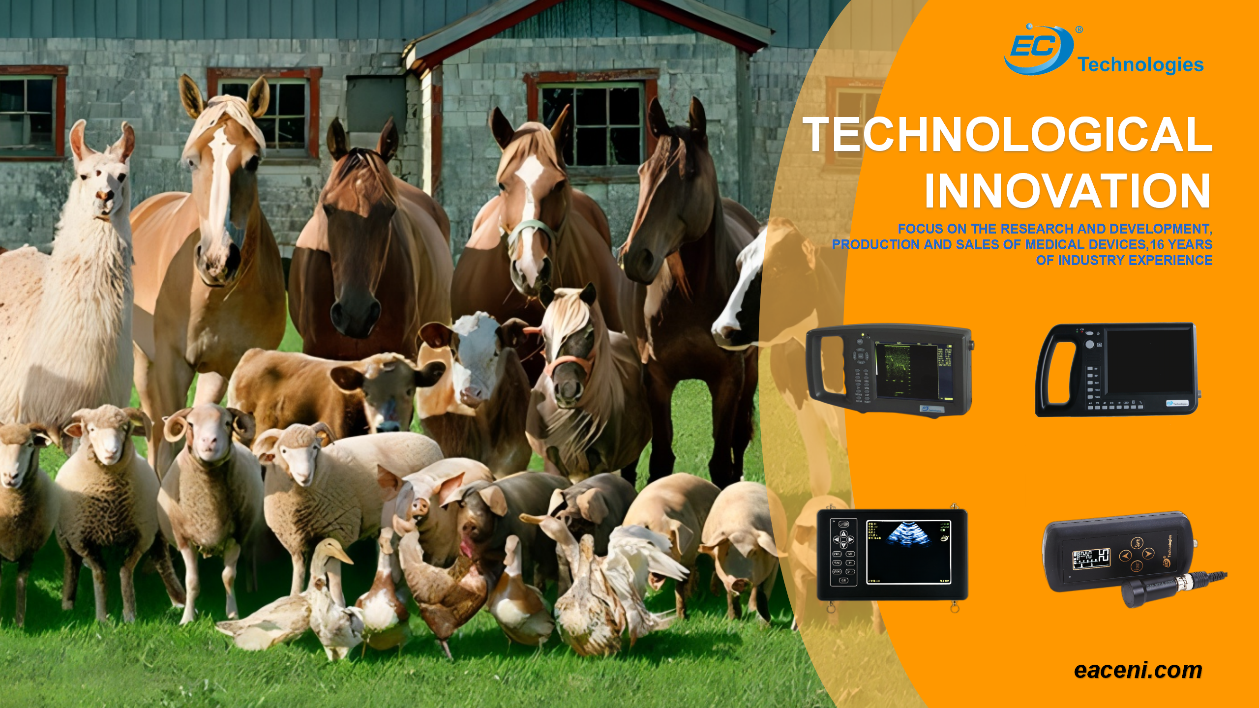 Aplikácia veterinárnych ultrazvukových prístrojov v starostlivosti o zvieratá
