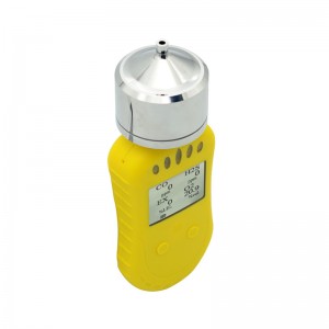 Composite portable gas detector