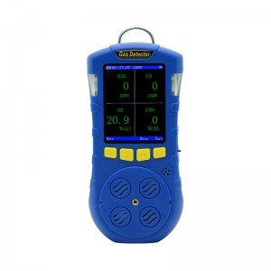 I-Compound Portable Gas Detector