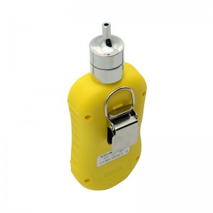 Portable pump suction single gas detector