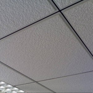Thekiso e Chesang ea Aluminium / Gypsum / PVC Ceiling Tile bakeng sa Mokhabiso oa Lehae