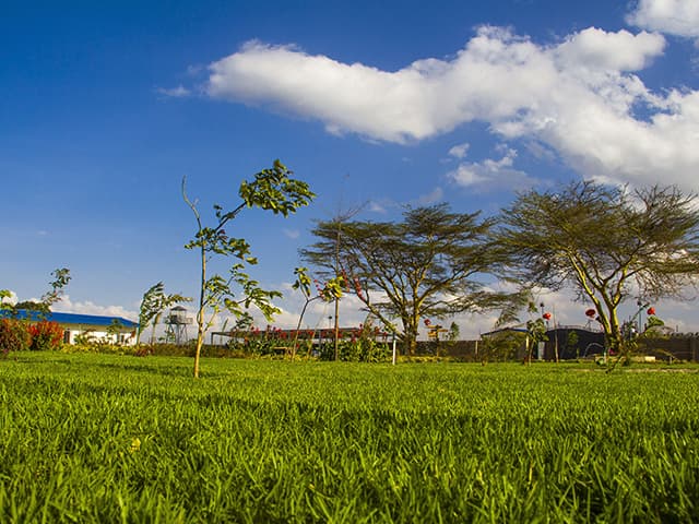 Ang Nei-Ma Railway Camp sa Kenya Phase I (1)