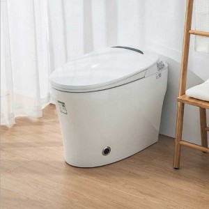 200A series Commercial Smart toilet kayan haɗi...