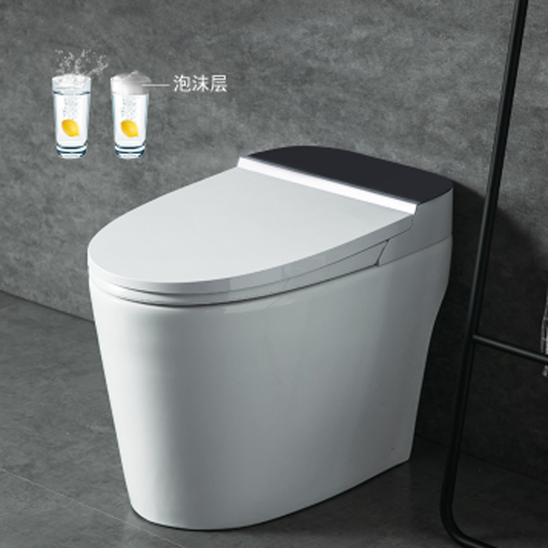 Σειρά 200B Western smart style τουαλέτα, εναλλαγή διπλής λειτουργίας, αυτόματη ανατροπή Επιλεγμένη εικόνα