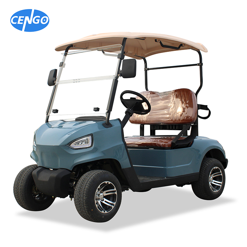 Golf Cart 2 Passenger ជាមួយការរចនាថ្មី 48v 5kw