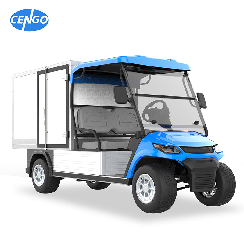 Customized Golf Carts for Food Service with 5kw Ac Motor