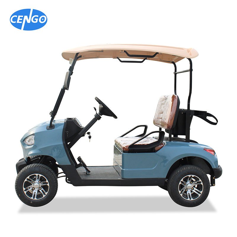 Golf Cart 2 Passenger ជាមួយការរចនាថ្មី 48v 5kw