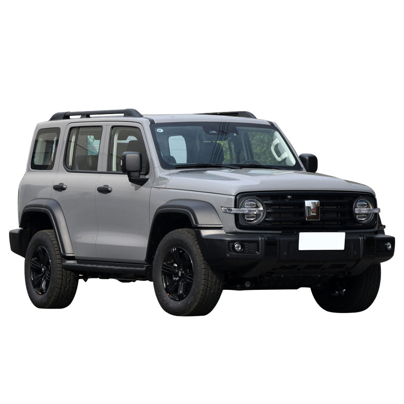 Tank 300 Top Quality Low Price Chinese Brand SUV Automatic Vehicle Petrol SUV