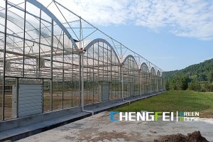 Manufacturer of Solid Wall Greenhouse - Customized multi-span plastic film greenhouse – Chengfei