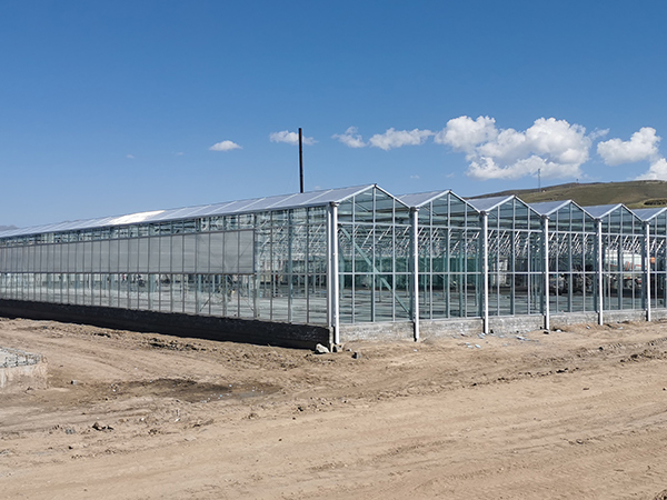 Glass greenhouse project in Gansu, China