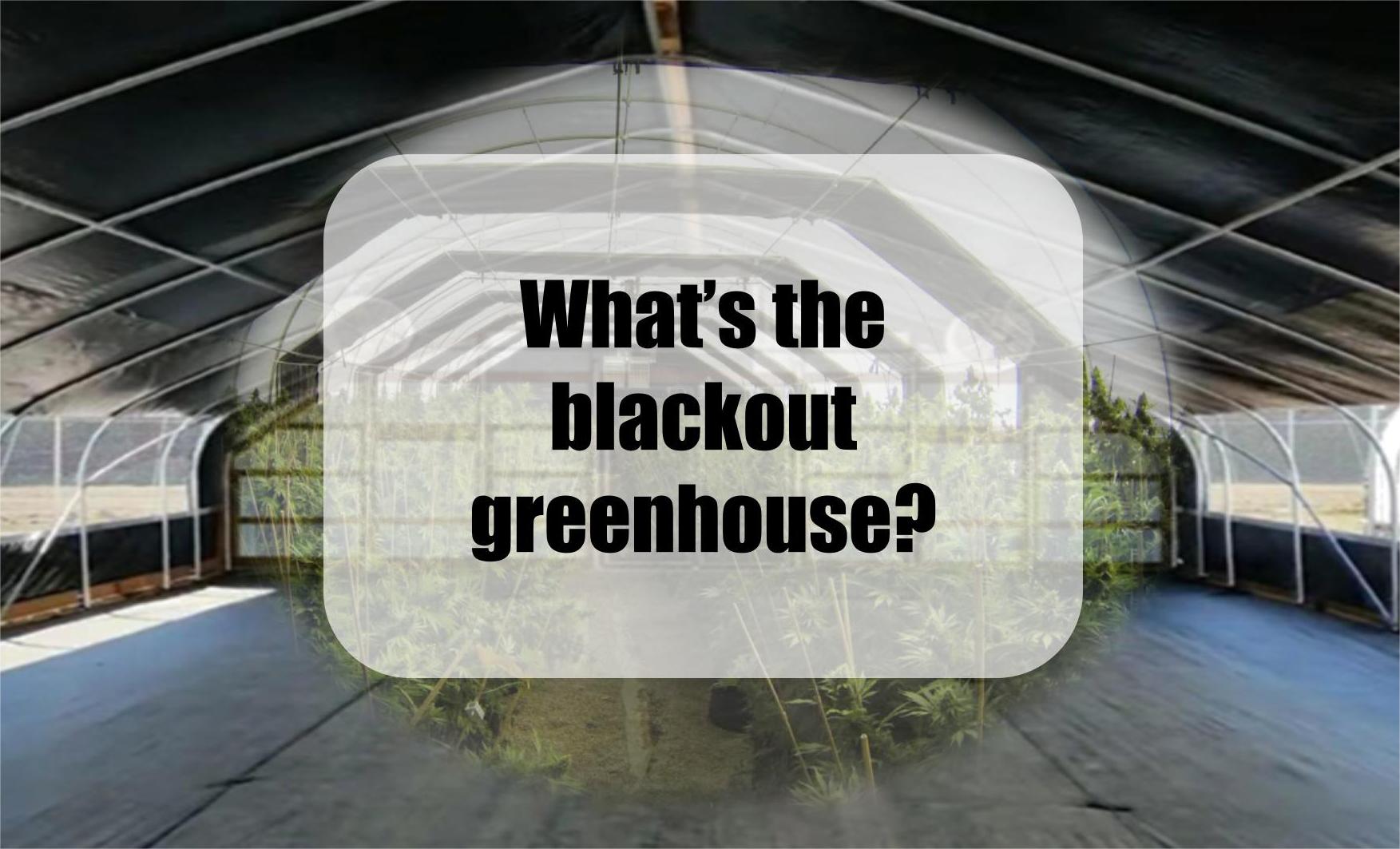 Blackout Greenhouses: Mashandiro Avanoita uye Zvakanakira Zvavo