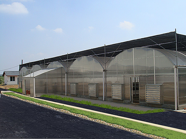 PC sheet greenhouse in Malaysia