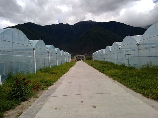 Plastic film greenhouse project in Tibet, China
