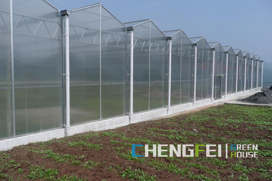 Umphakeli we-Agricultural polyurethane greenhouse