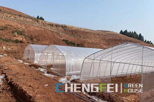 Big Discount Glass Window Greenhouse - Single-span plastic greenhouse price – Chengfei