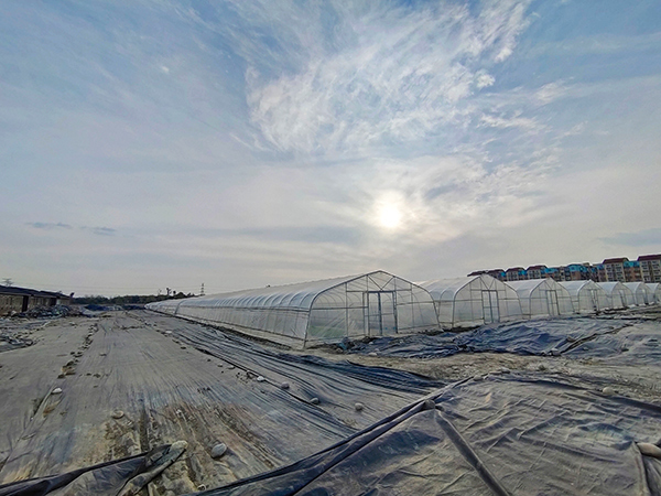 Tunnel greenhouse project in Kazakhstan