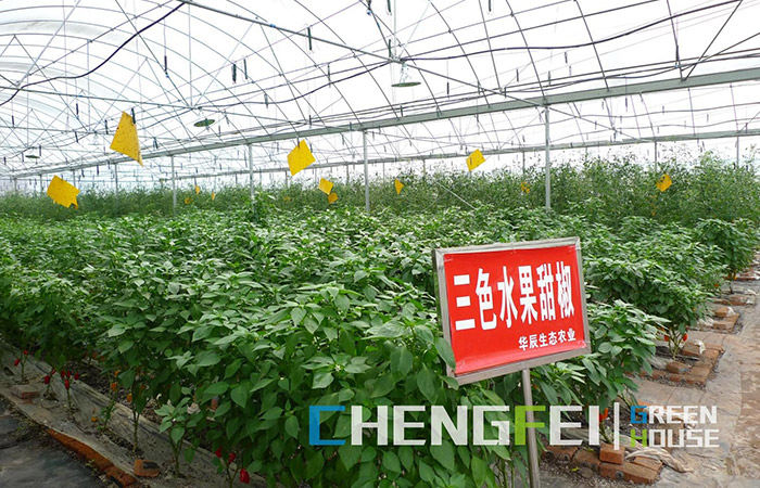 Suntory Flowers Opens New Innovation Center - Greenhouse Grower
