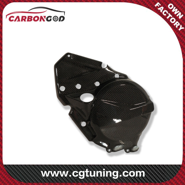 CARBON FIBER ENGINE COVER (HASIGAYE) - BMW F 700 GS (2013-NONAHA) / F 800 GS (2013-NONAHA) / F 800 GS INAMA