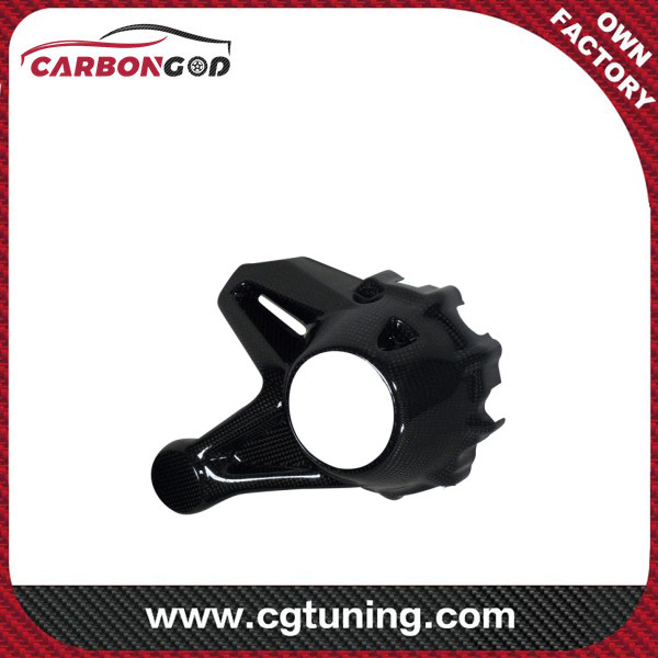 CARBON FIBER BEVEL DRIVE HUSING PROTECTOR – BMW R 1200 GS (LC FROM 2013) / R 1200 R (LC) SITE 2015 / R 12