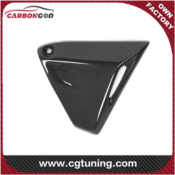 CARBON FIBER FRAME TRIANGLE COVER RIGHT SIDE BMW R 1250 GS / R 1250 R AND RS