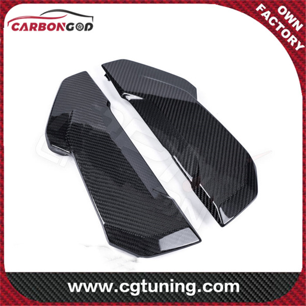 Protectores de radiador de fibra de carbono BMW S1000XR