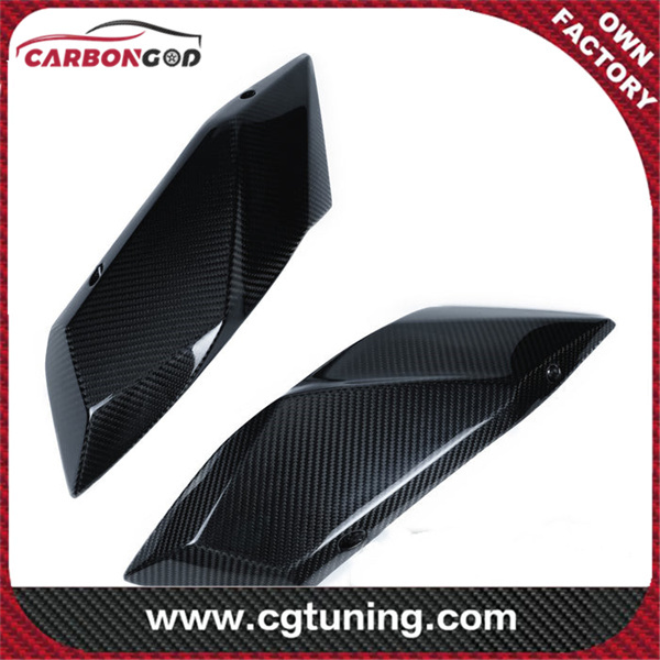Carbon Fiber Kawasaki H2 Tail Sisi Panels