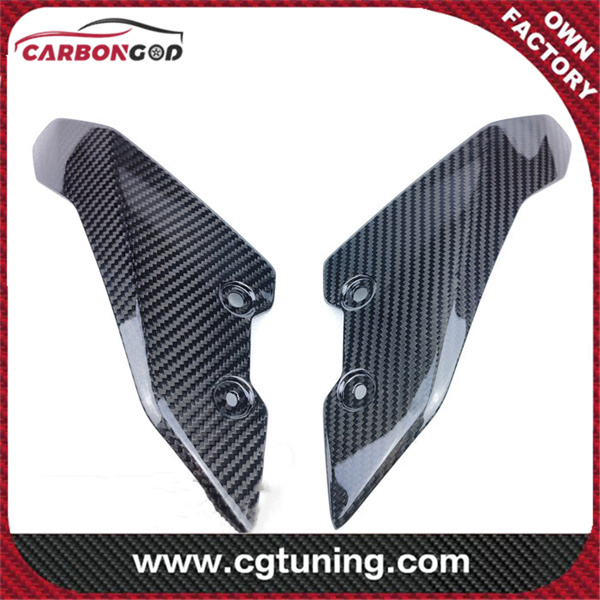 Carbon Fiber Yamaha MT-10 FZ-10 Windscreen Panel