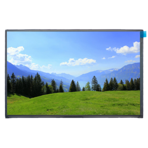 LVDS 10.1 អ៊ីង 1280*800 HD-MI Board ស្រេចចិត្ត CTP Touch LCD Module