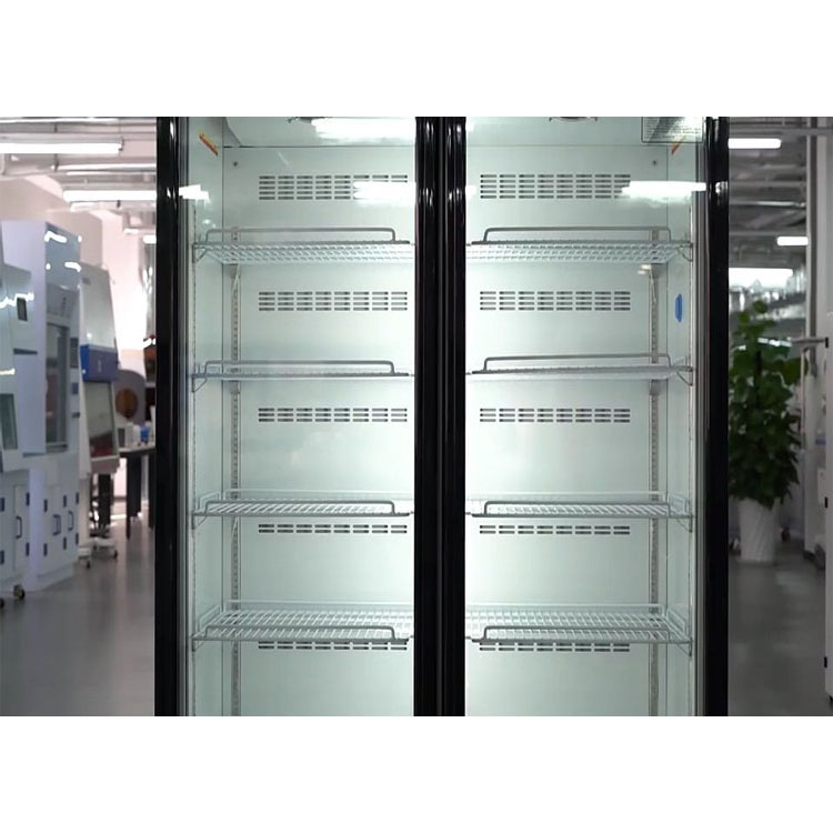 Hot Sale Vaccine Refrigerator 2-8 Degree 1000L Laboratory Refrigerator for Sale