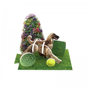 12 ûntwerpen Dog Park DIY 3D Puzzle Set Model Kit Toys foar bern ZC-A004