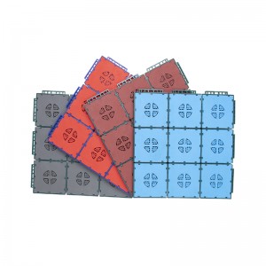 High End Dual-Layer နှင့် Dual-Material Interlocking Sports Floor Tile -Fortune & Lucky
