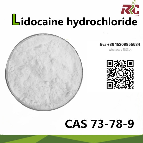 Chemicas Local Anesthetic Powder 99% Lidocaine Hydrochloride Powder CAS 73-78-9