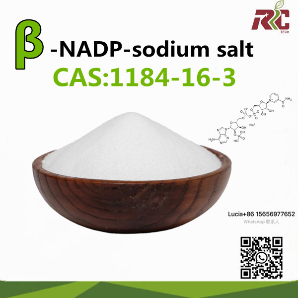Insen Factory Supply β-NADP-sodium salt  CAS NO.1184-16-3 with Factory Price