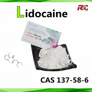 Super Lowest Price Chemicals - High Purity 99% CAS 137-58-6 Lidocaine Chemical – ARTC