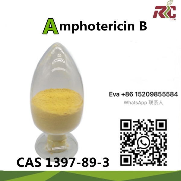 Farmaceutická chemikália 99% API Surovina Amfotericín B CAS 1397-89-3